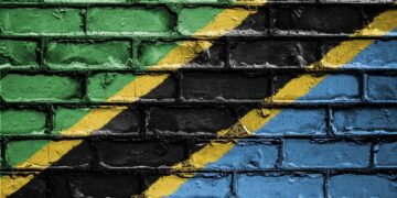 Tanzania Orders Civil Servants to Work From Home Amid Post-Election Protests