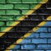 Tanzania Orders Civil Servants to Work From Home Amid Post-Election Protests