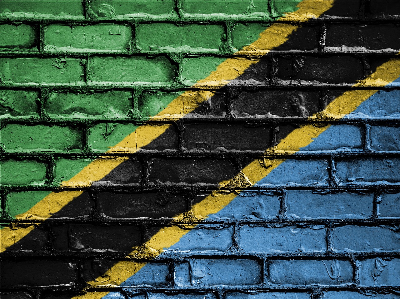 Who is 'Captain Tesha' and Why Did His Video Prompt a Tanzania Army Warning?