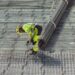 Could 50% EU Tariffs Create the "Biggest Ever Crisis" for UK Steel?