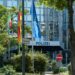 A Mayor, a Stabbing, and a Country on Edge: What’s Going On in Germany?