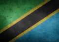 Who is 'Captain Tesha' and Why Did His Video Prompt a Tanzania Army Warning?