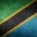 Who is 'Captain Tesha' and Why Did His Video Prompt a Tanzania Army Warning?