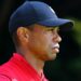 Tiger Woods Back Surgery Goes Well, Future in Golf Still Unclear