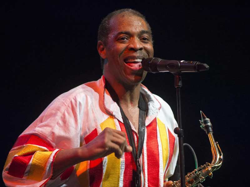 Femi Kuti Exposes Mistake That Could End Young Artists’ Careers