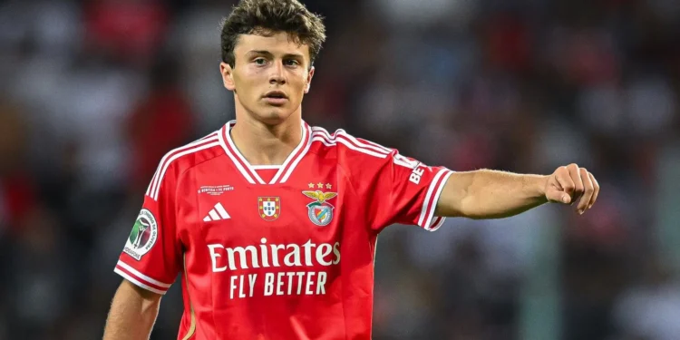 Neves​‍​‌‍​‍‌ and Fernandes both score a Hattrick as Portugal Beat Armenia 9-1 to confim World Cup Qualification