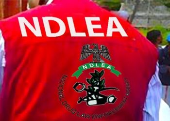 NDLEA Seizes 396,000 Tramadol Capsules At Yola Airport
