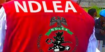 NDLEA Seizes 396,000 Tramadol Capsules At Yola Airport