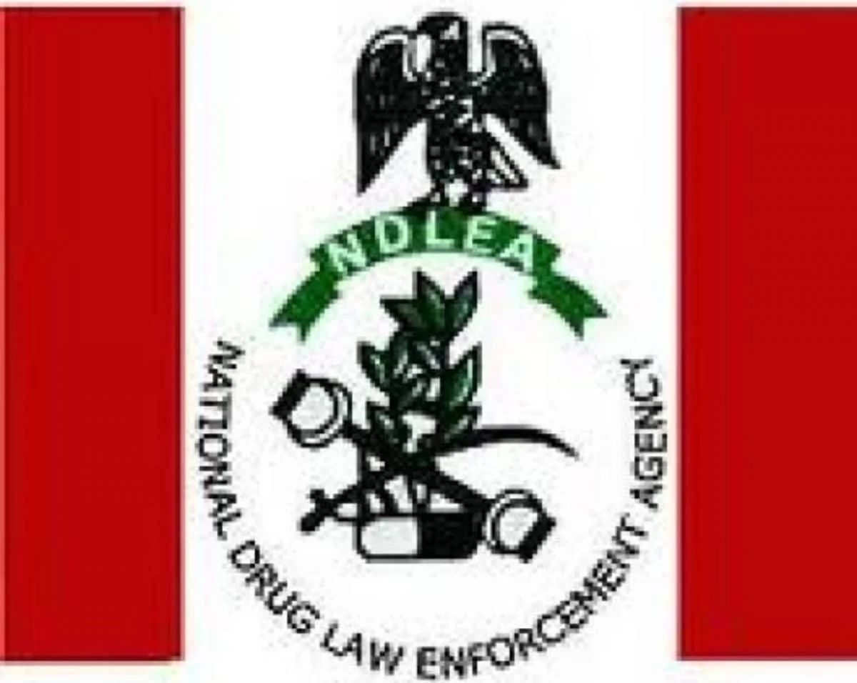 NDLEA Seizes 396,000 Tramadol Capsules At Yola Airport