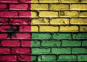 General Takes Control of Guinea-Bissau After Military Power Grab