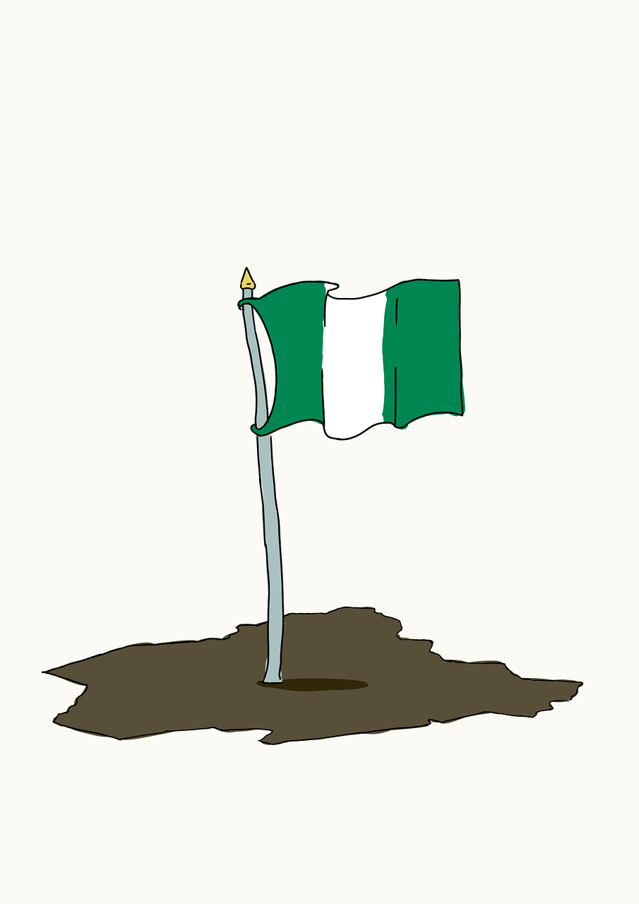 Should Nigeria Declare a State of Emergency?