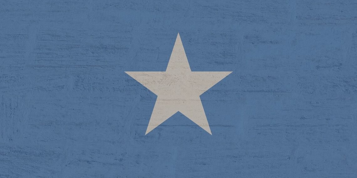 US and UK Say Somalia's Entire E-Visa System May Be Compromised