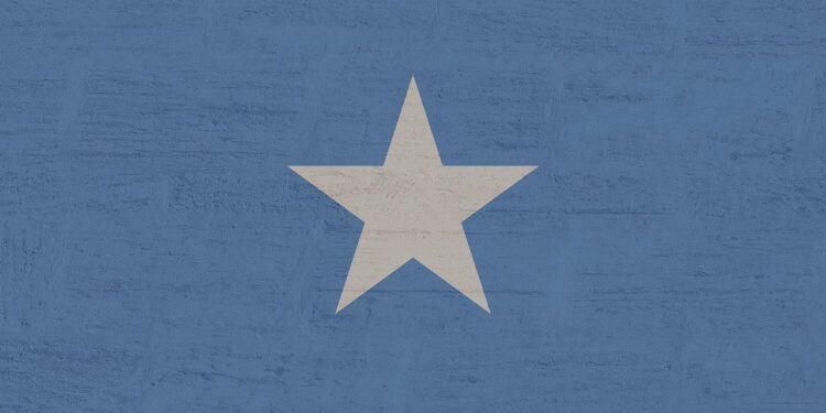 US and UK Say Somalia's Entire E-Visa System May Be Compromised