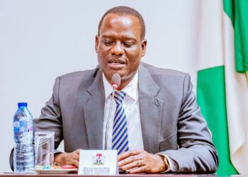 ‘Who Changed the Tax Laws?’ Nigeria Reps Raise Red Flag