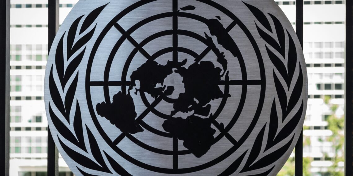 Inside the UN's Controversial Decision to Cut Its Funding Appeal