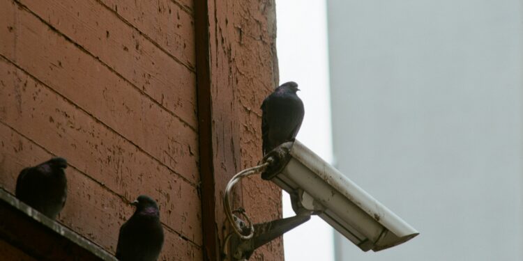 South Korea Developing Real-Time App to Show Where Stalkers Are