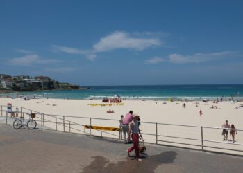 Bondi Beach Survivor Charges Rifle-Wielding Attacker