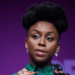 Lagos Launches Probe Into Chimamanda Adichie’s Son’s Death