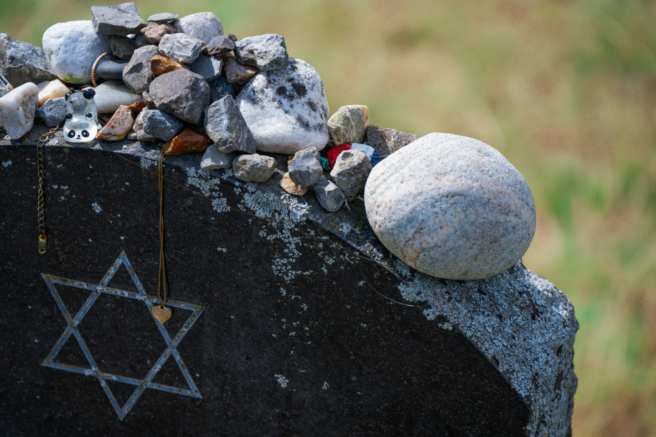 Australia Launches 'No Holds Barred' Inquiry After Shocking Rise of Antisemitism Rocks Society