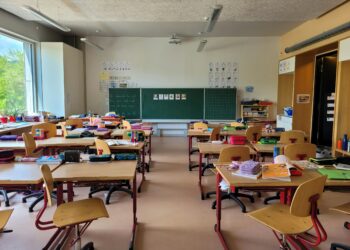 New Low in Minnesota: Why Are Immigration Agents Detaining Elementary School Students?