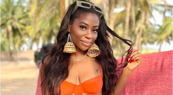 Sophia Momodu’s Lawyers Caution Davido Over Social Media Attacks Amid Custody Battle