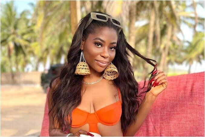 Sophia Momodu’s Lawyers Caution Davido Over Social Media Attacks Amid Custody Battle