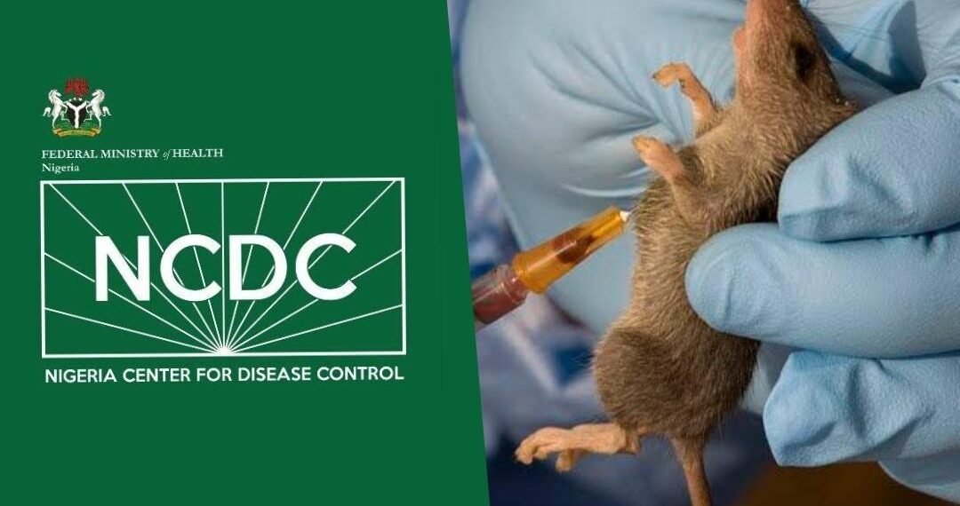 Deadly Outbreak Spreads in Plateau – Officials Confirm New Wave of Lassa Fever Illness