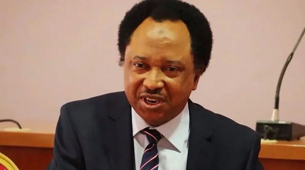 Shehu Sani Demands EFCC Hunt El-Rufai’s Hidden Billions