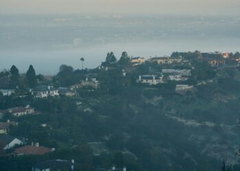 100 Boats, 1,000 Medics: Activists Dare Israel Over Gaza Blockade