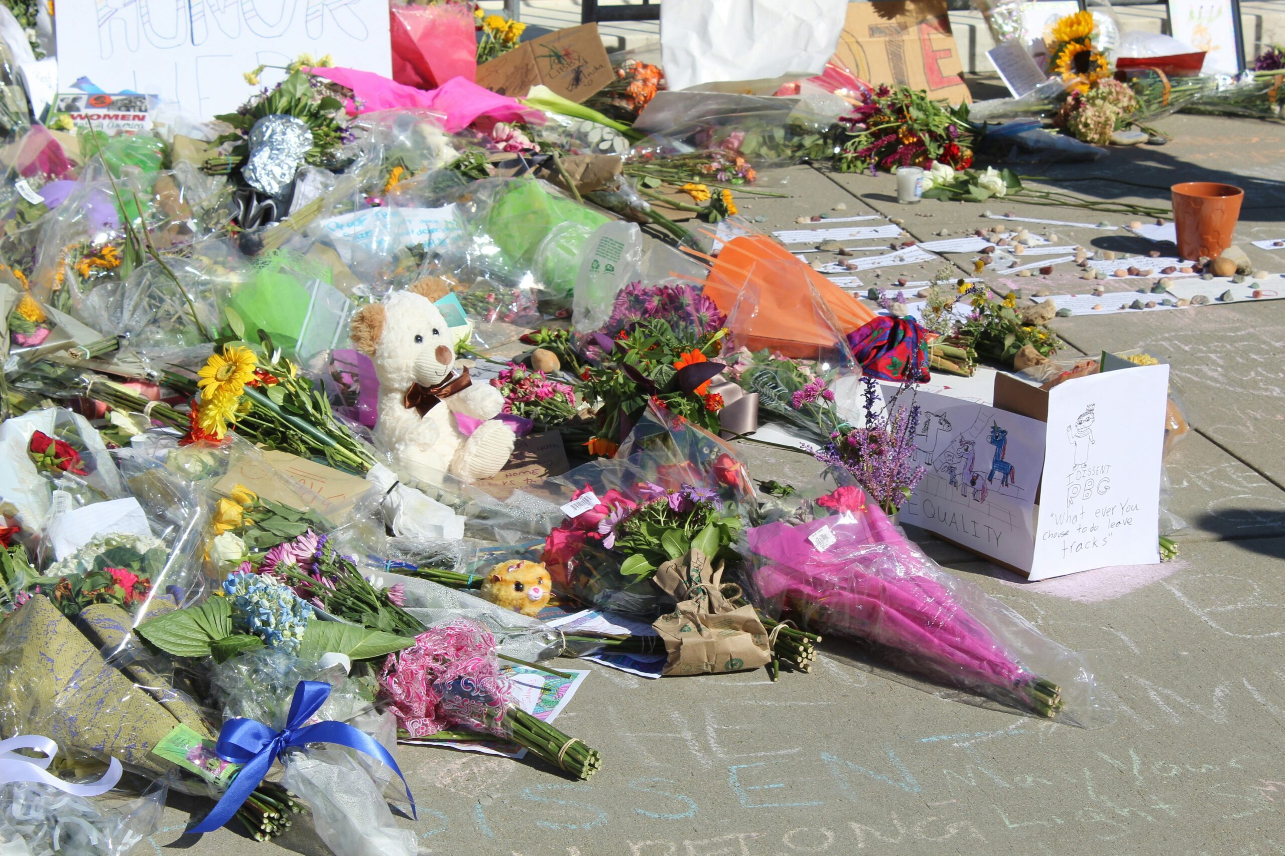 Tumbler Ridge School Shooter Killed Her Family First—Police Make New Revelations