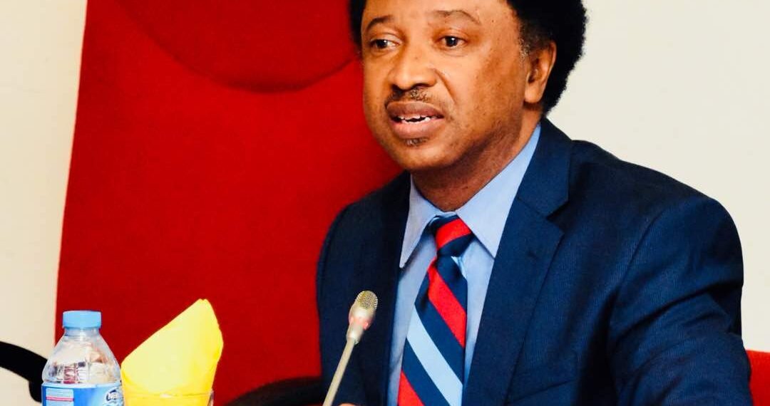 Shehu Sani Demands EFCC Hunt El-Rufai’s Hidden Billions