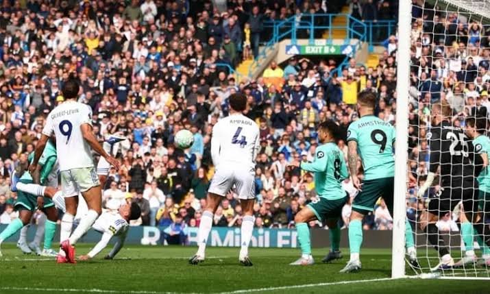 Wolves Relegated After Leeds Defeat as Premier League Survival Bid Ends