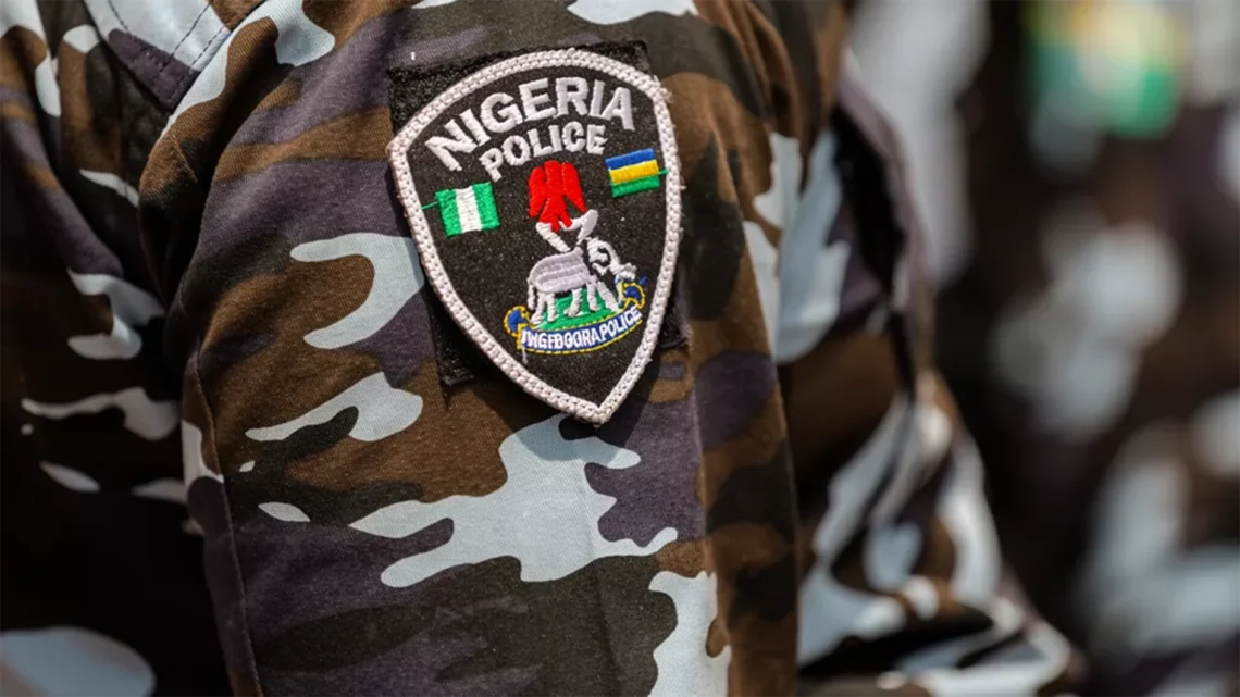 Nigeria Police Warn Against Retaliatory Attacks Over South Africa Anti-Migrant Tensions