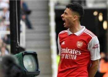 Arsenal Narrowly Beat Newcastle and Still Dream of the Title