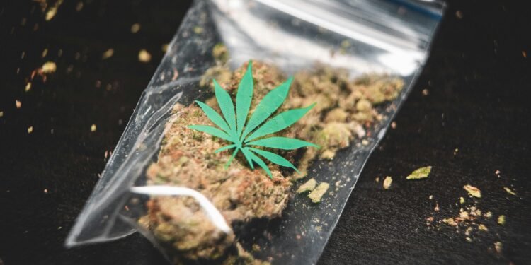 Trump Ends the War on Weed to Hide His Failure in the War on Iran