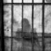 Nigerian Arrested In US, Risks Deportation Over Alleged ‘Sex Crimes’