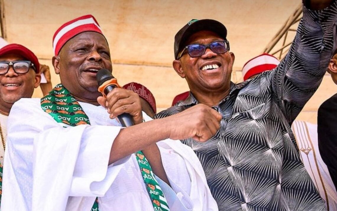 How the African Democratic Congress Lost Peter Obi to Atiku's Greed