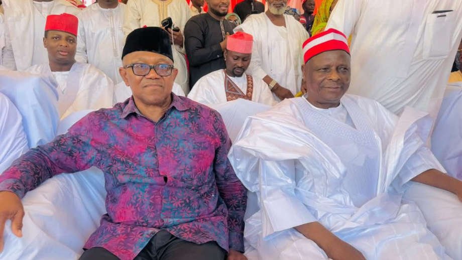 How the African Democratic Congress Lost Peter Obi to Atiku's Greed