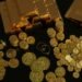 America on Life Support: Treasury Must Borrow $2 Trillion Just to Function