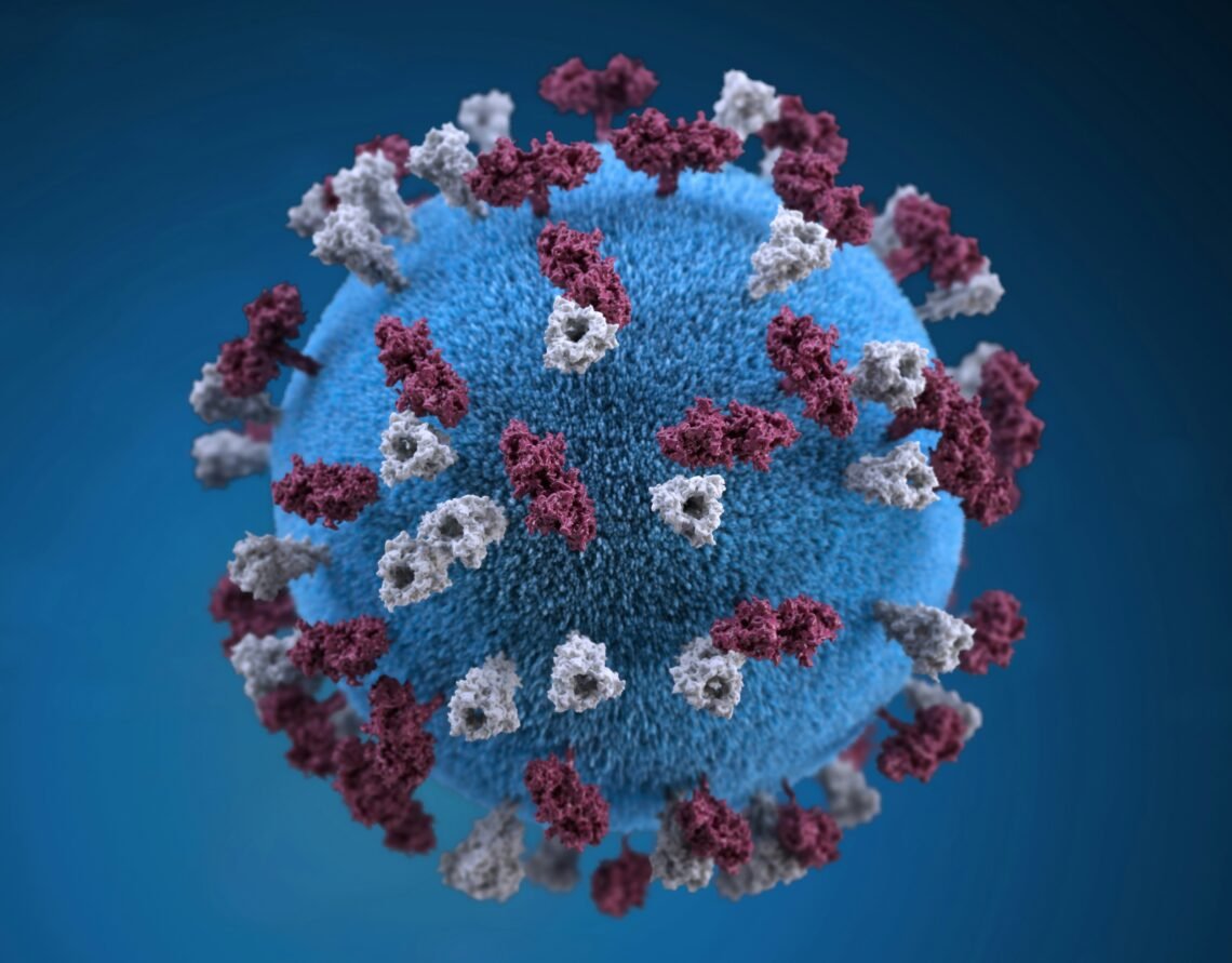 Hantavirus Exposure Triggers Isolation Of US Passenger On Remote Pitcairn Island