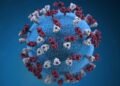 Andes Virus Outbreak on Cruise Ship: 3 Dead, Several Critical