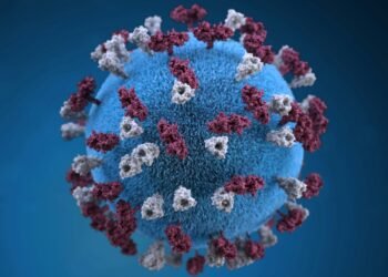 Andes Virus Outbreak on Cruise Ship: 3 Dead, Several Critical
