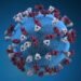 Andes Virus Outbreak on Cruise Ship: 3 Dead, Several Critical