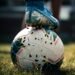 Ange-Yoan Bonny cleared to play for Ivory Coast