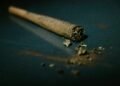 Grandma's New Medicine: AMA Study Finds Older Adults Ditching Pills for Pot