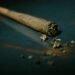 Grandma's New Medicine: AMA Study Finds Older Adults Ditching Pills for Pot