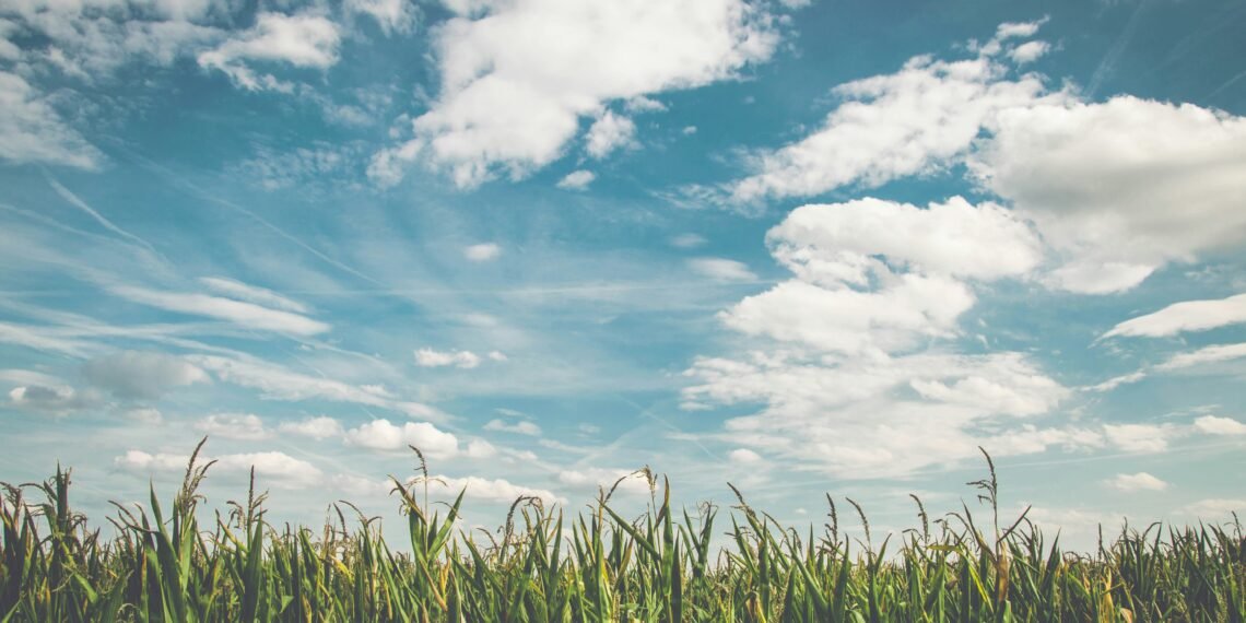 'Touch Grass' Is the Global Movement Gen Z Is Leading (And It's Not Just About Nature)