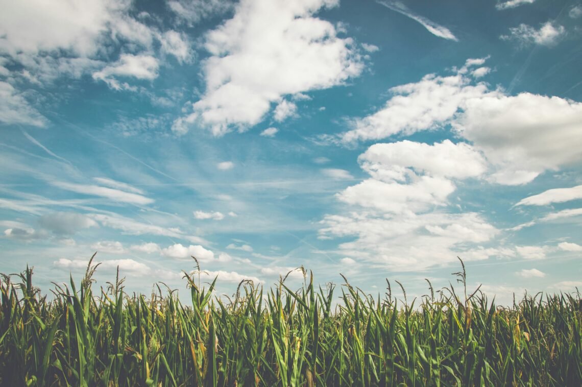 'Touch Grass' Is the Global Movement Gen Z Is Leading (And It's Not Just About Nature)