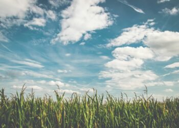 'Touch Grass' Is the Global Movement Gen Z Is Leading (And It's Not Just About Nature)