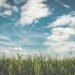 'Touch Grass' Is the Global Movement Gen Z Is Leading (And It's Not Just About Nature)